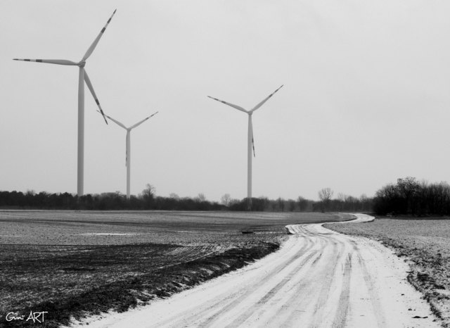 Windräder im Marchfeld 13.01.2013  FOTO: Güni ART