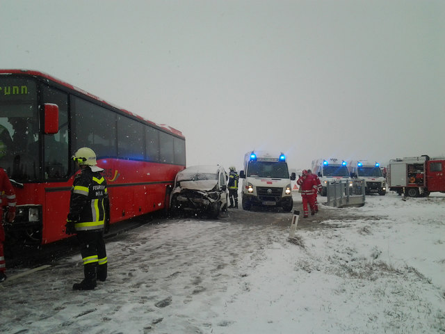 Das Rote Kreuz rückte mit vier Rettungsteams aus Bruck, Götzendorf, Hainburg und Marchegg an.