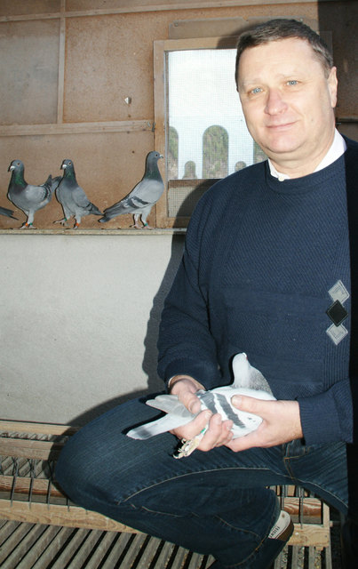 Renald Knoglers Tauben zeichnen sich besonders durch ihren Orientierungssinn und Geschwindigkeit aus.