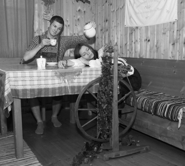 weil du für jeden Spaß zu haben bist, Dornröschen :))