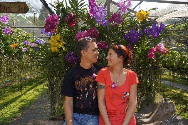 Liebe ist... wie eine Blume. Man muss sich stehts um sie bemühen, damit sie nicht verwelkt!