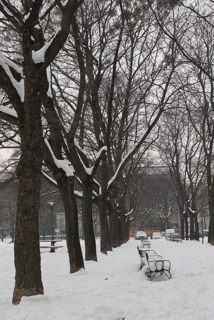 den sommer hast du schon gesehen-hier das versprochene Winterbild!:-)