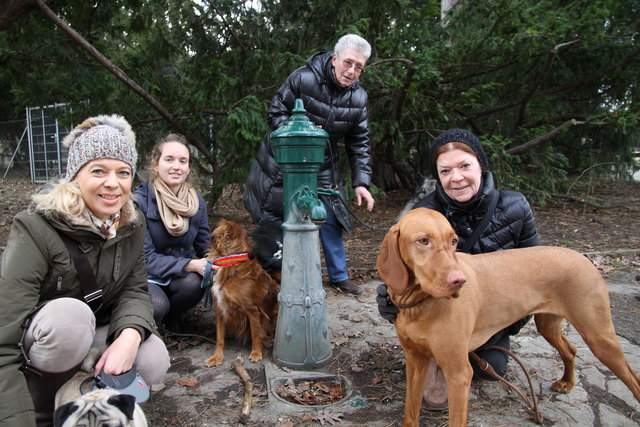 Susanne Reiss, Lucy Rooney, Anneliese Linke und Elisabeth Dirnwöber fordern Brunnen im Währinger Park.