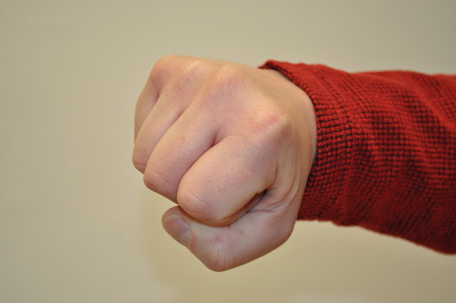 Mit Schlägen und Tritten wehrte sich der Angeklagte gegen seine Festnahme | Foto: Peham