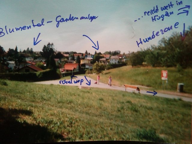 "Schulweg für unsere Kinder sollten besser geschützt sein...", so eine Anrainerin