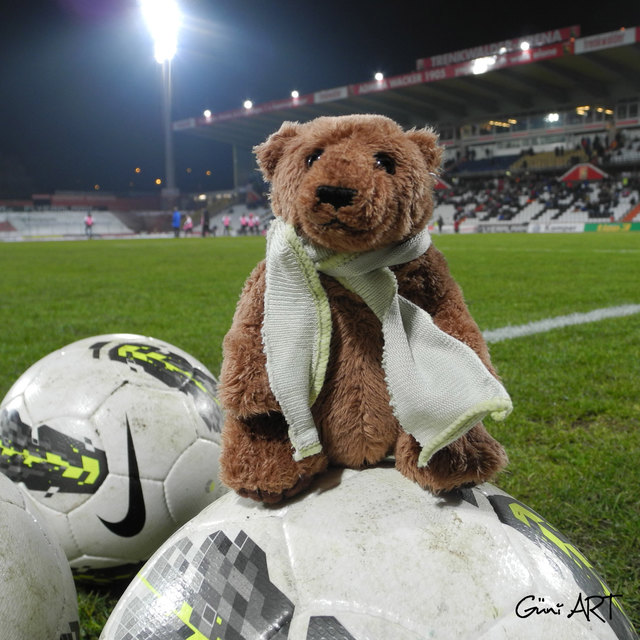 Samstag Abend war Eddy beim Spiel Admira vs Wr. Neustadt in der Trenkwalder Arena in Maria Enzersdorf. Morgen Sonntag wird er im Hanappi Stadion bei Rapid vs Austria dabei sein.  FOTO: Güni ART