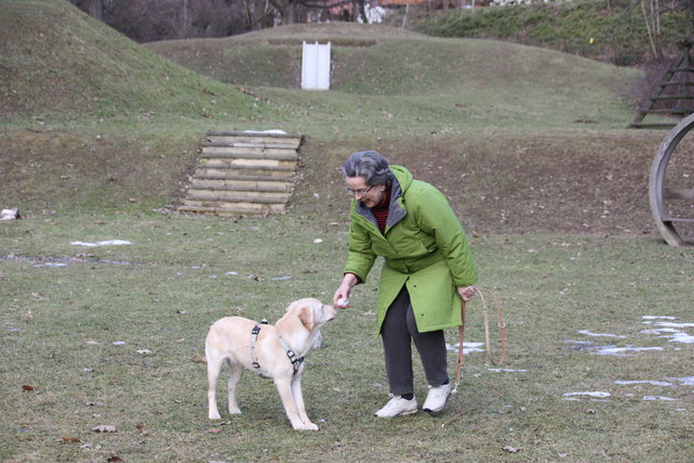 Abseits des Trainings darf natürlich auch das tägliche Spielen nicht fehlen. | Foto: KK