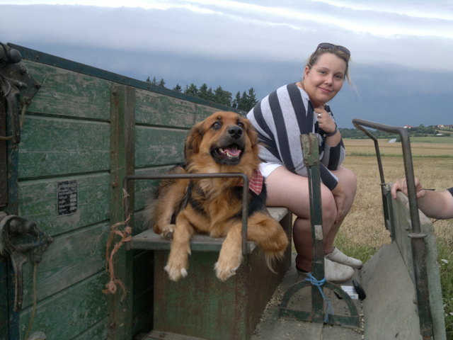 Im Sommer war die Welt noch in Ordnung: Gabriele Weber mit Cocker Spaniel-Mix Leijka: "Sie ist so gern Traktor gefahren." | Foto: privat