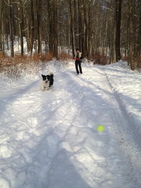 Winterspass mit Jerry