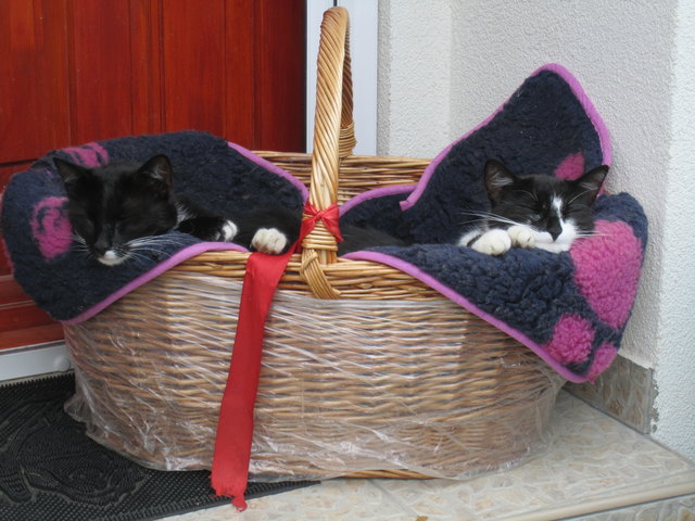 Nachmittag Pause