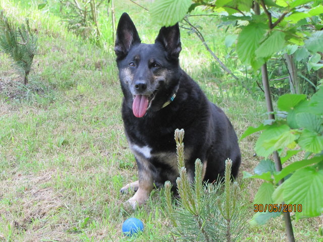 Cora im Urlaub