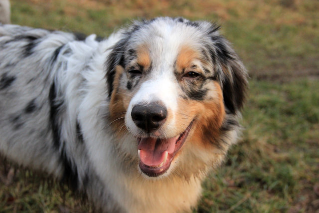 Lachen ist gesund :)