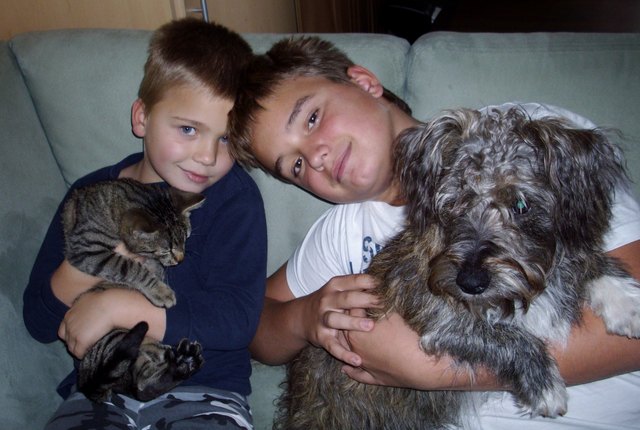 Das sind Charly und Felix, die beiden Haustiere meiner Neffen