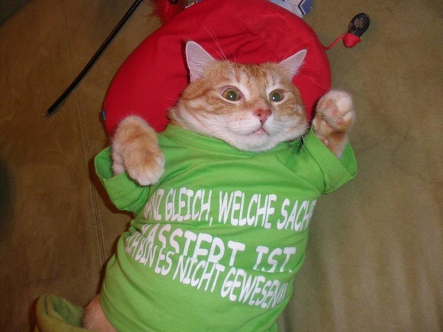 Pepi Supersüßi ist immer zur Stelle