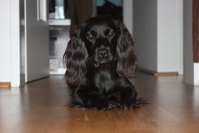 unsere Amy