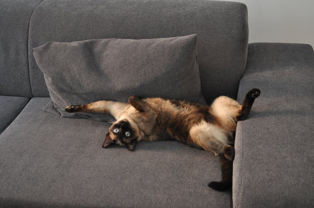 I am a couchpotato...