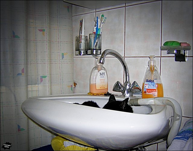 Jeder hat seine eigene Wanne!