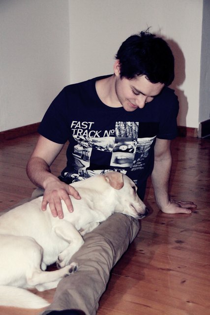 Die Treue eines Hundes ist ein kostbares Geschenk.