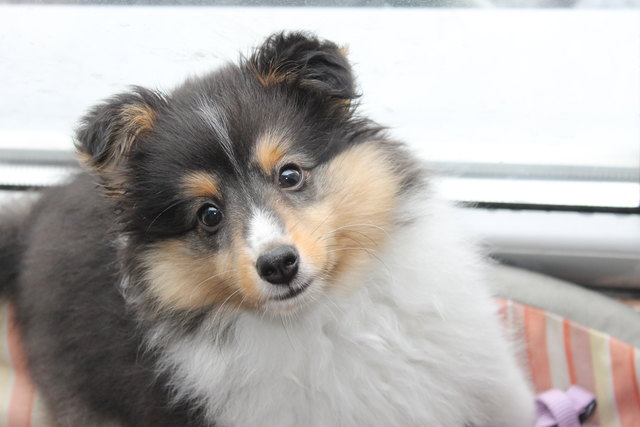 Angelface Annie :)