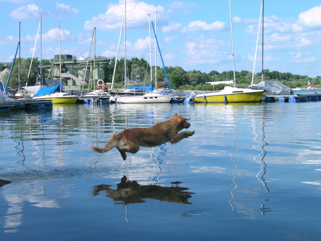 Aisha und das Wasser