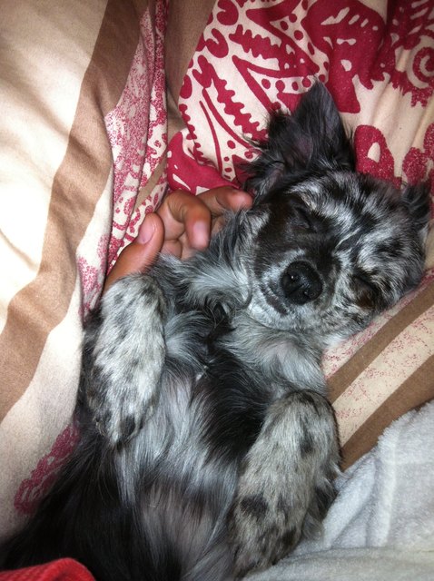 Sally sleep