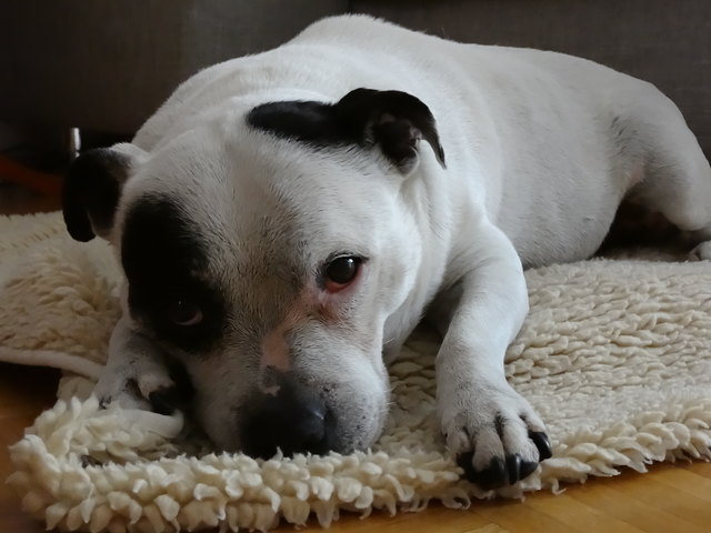 was guckst du :-)