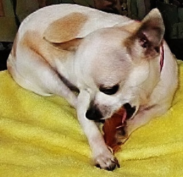 Rocksi