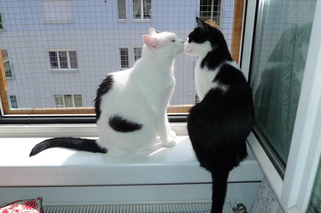 Lilly & Alfred in love