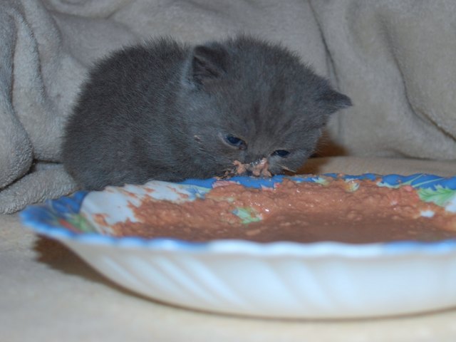 lecker