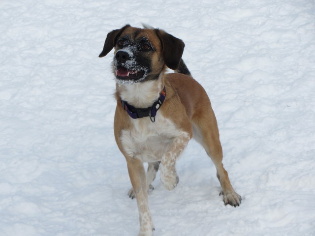 Spaß im Schnee