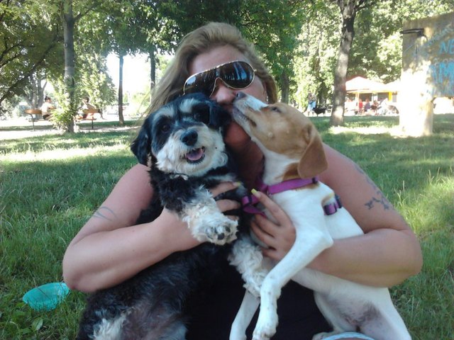 Daisy und Kyra auf der Hundewiese