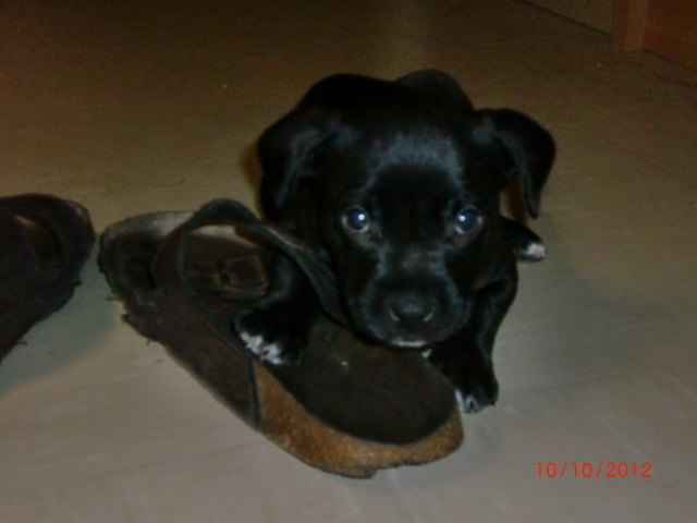 Mein Schuh