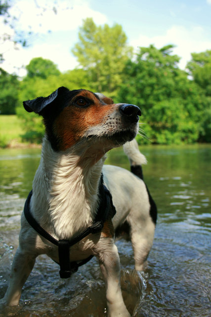 Donaukanal!