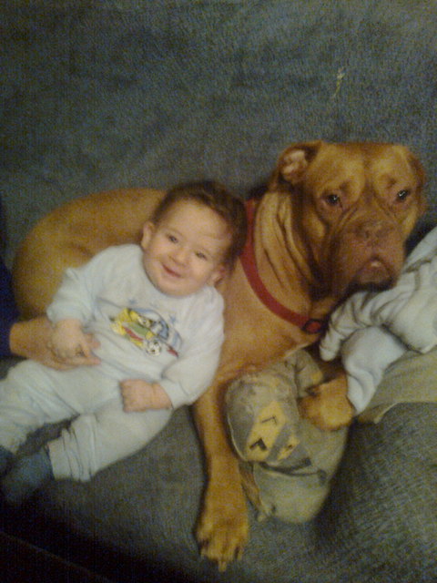 Bordeux dogge bonita miz baby matthias
