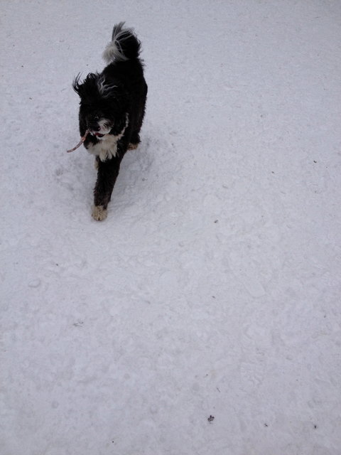 Sookie , Du muss es zurück geben ! nicht deins ball !!!!!