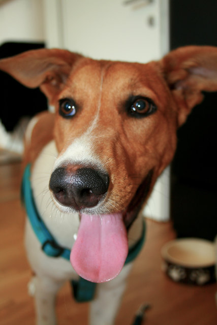 Happy!