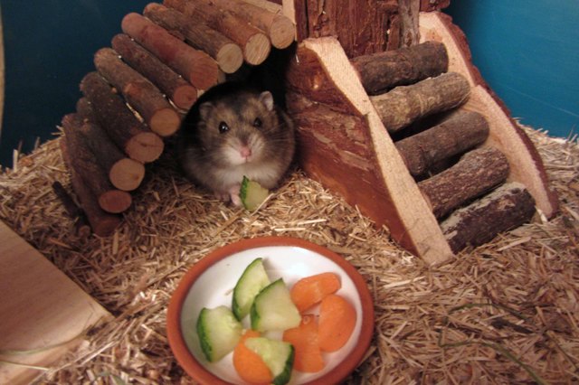 Krümel