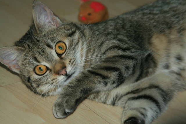Momo will spielen