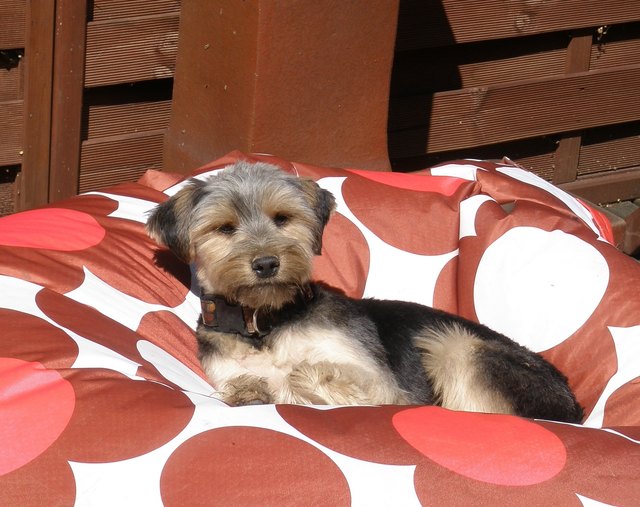 Feifel-ganz relaxed