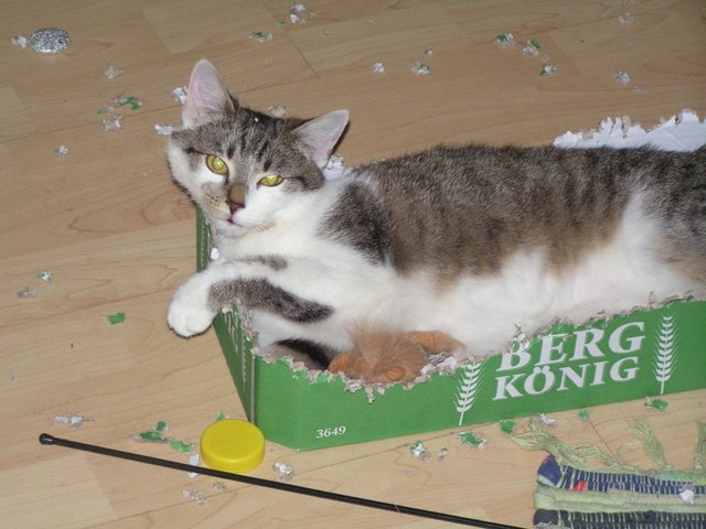 Meins!