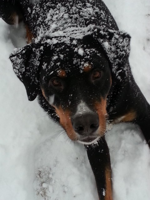 Marley;-)