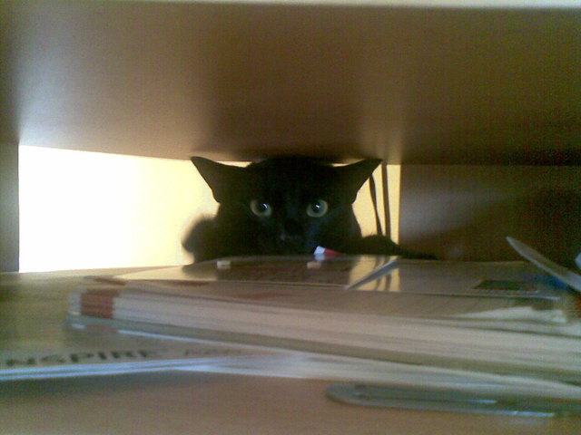 so niedlich unsere Murli ^^