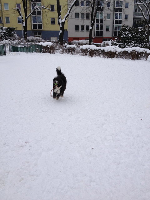 ah nee noch 5 min. Bitte spielen mit fremdes ball es macht soooo viel spass Bitte Herrli......