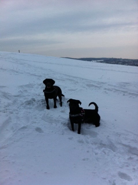 Spaß im Schnee!