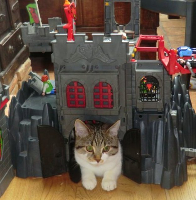 burgfräulein ELLA (im playmobil schloss)
