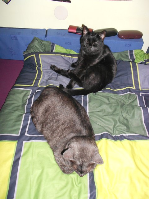Annie+Resi,im Bett ist es doch am gemütlichsten!
