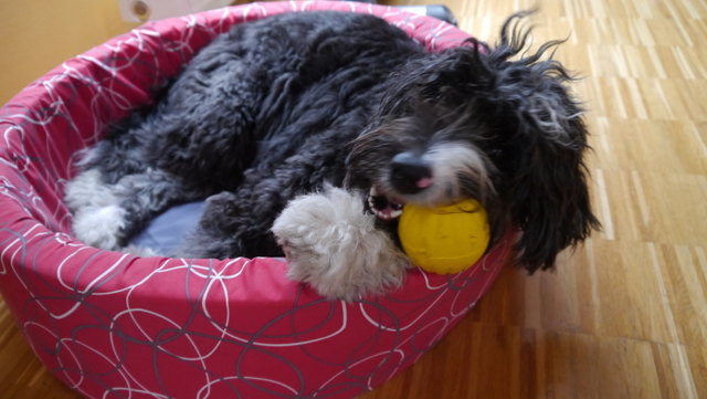 Sookie wieder bei spielen