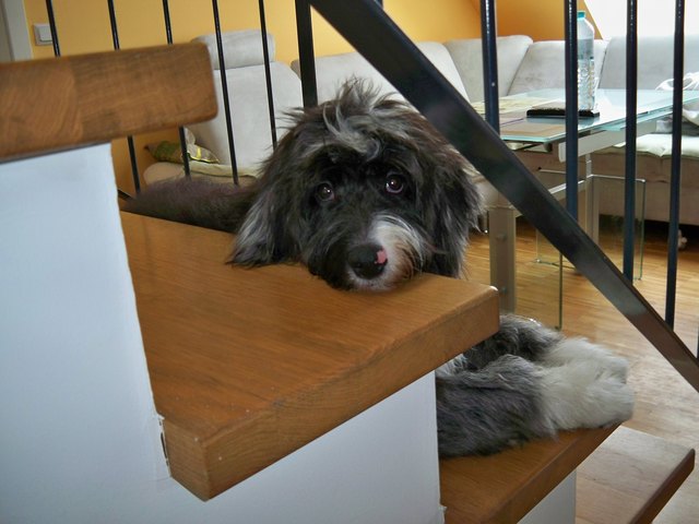sookie bei kurze pause nach den spielen