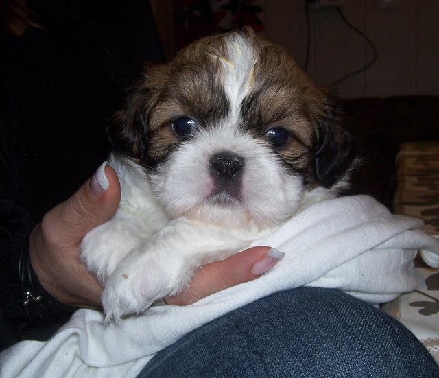 Unser Baby - Joy