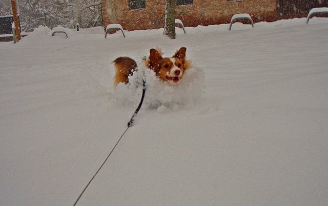 Juhuu schnee